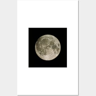 Full Moon (R340/0657) Posters and Art